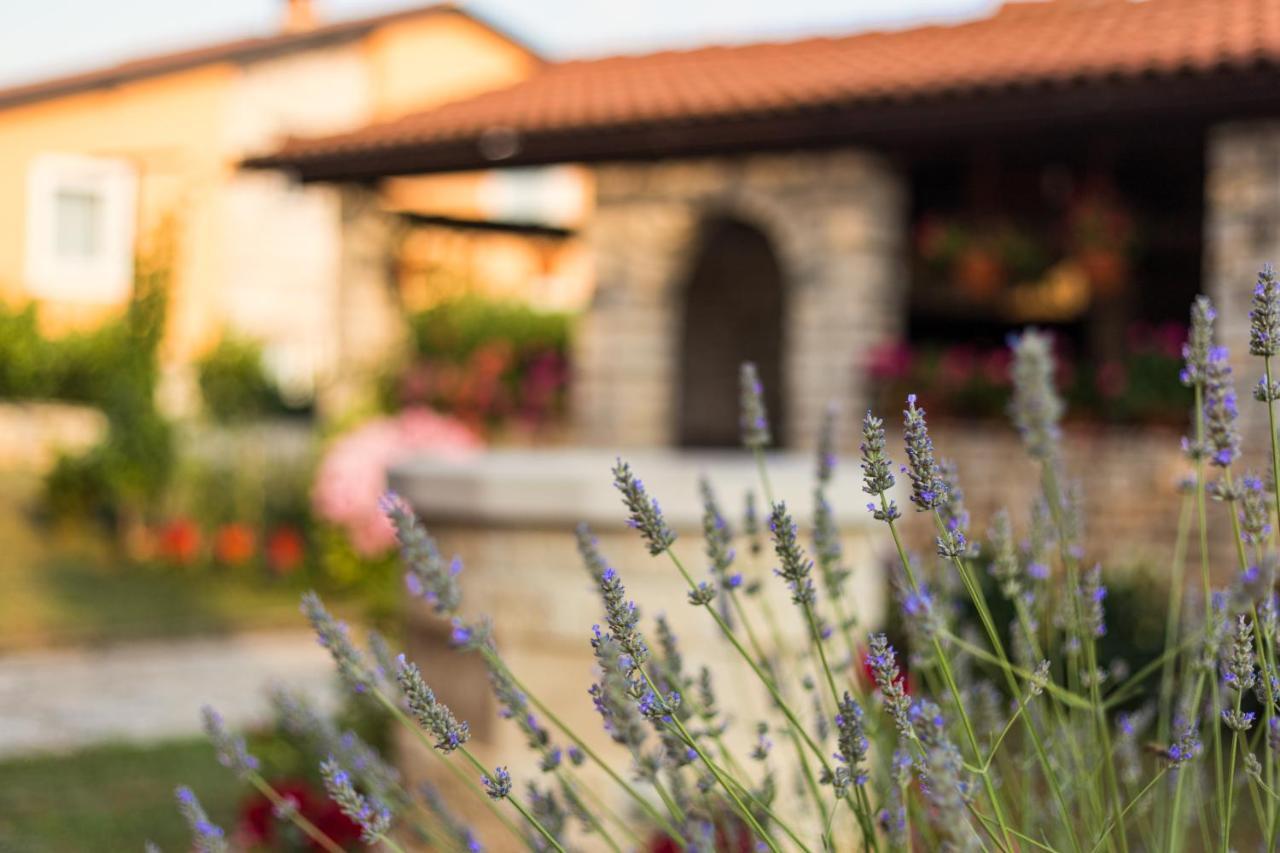 Apartman Contessa Novigrad (Istria)